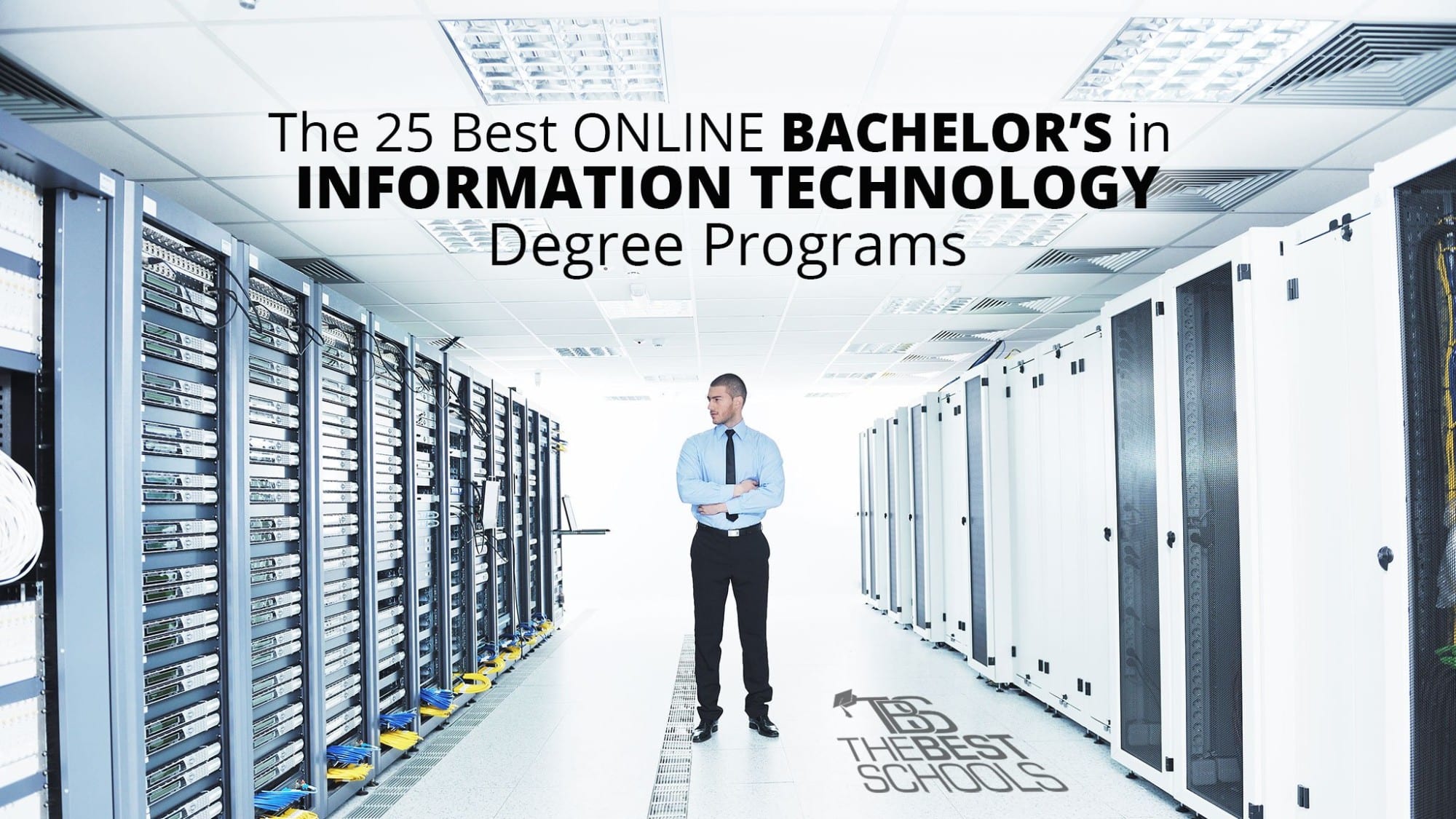 Information Technology Careers: Complete Guide to Education, Jobs, and Success Paths