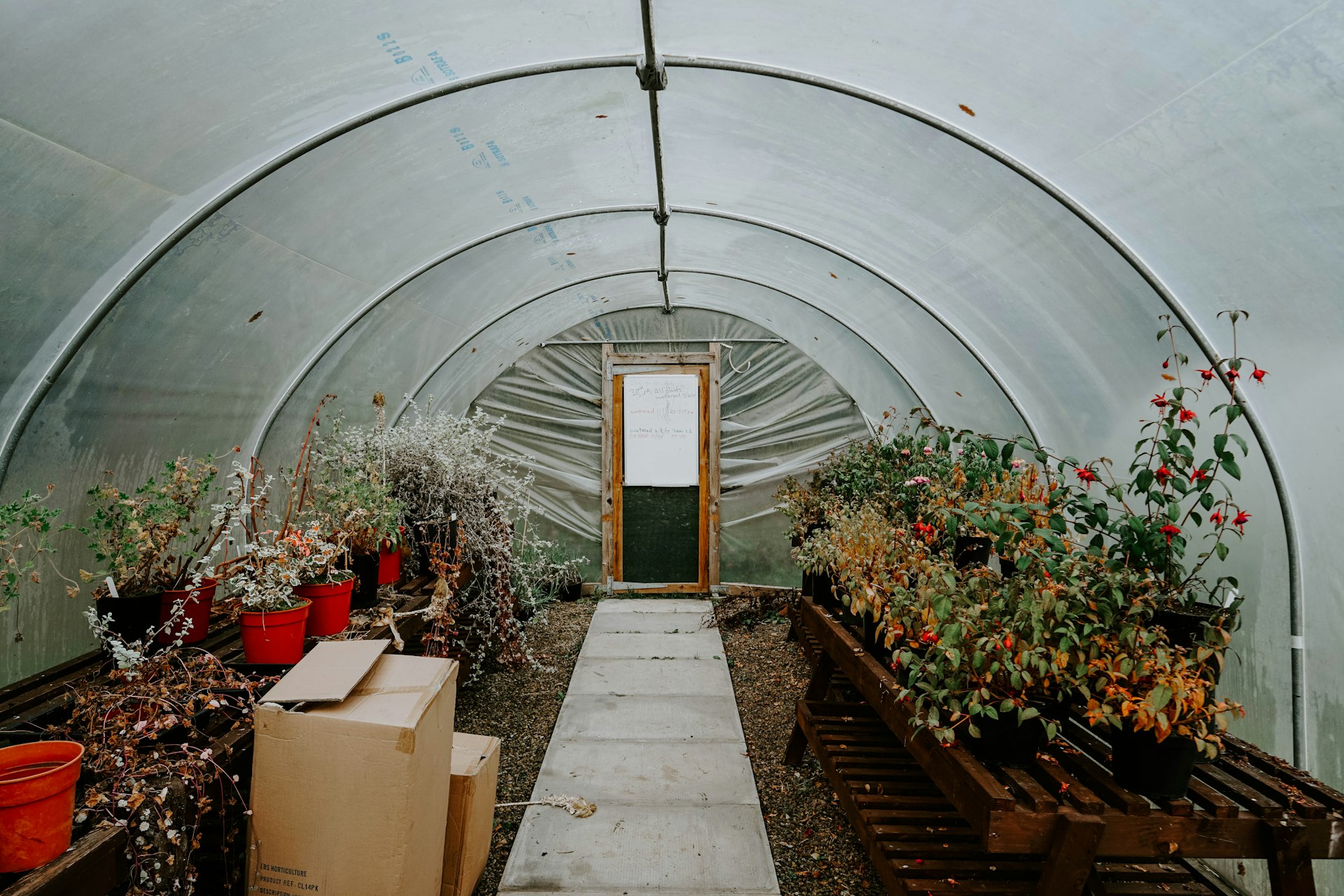 Compact Greenhouse Kits Compared: Features, Set-Up, and Buying Guide for Small Spaces