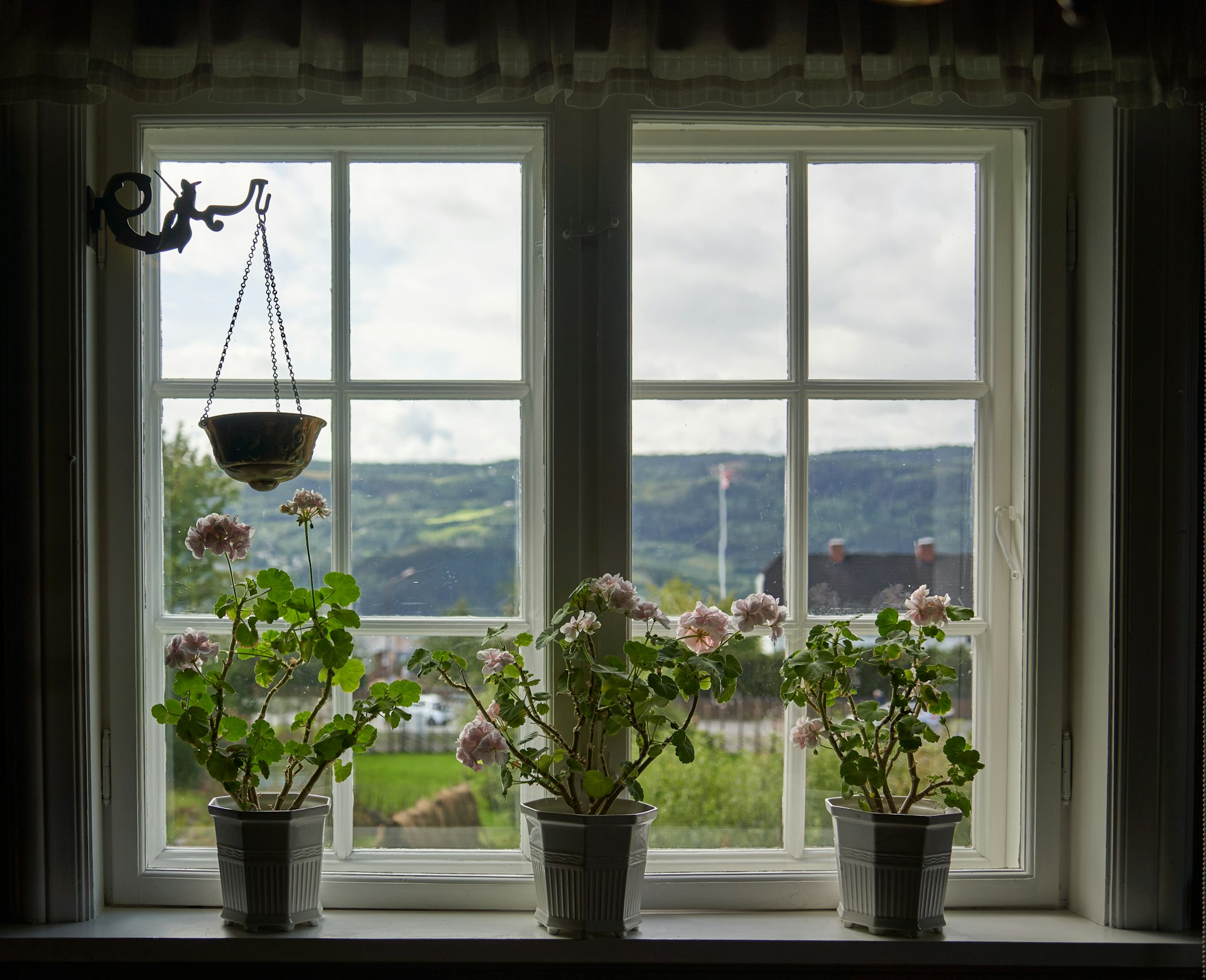 Mastering Energy-Saving Window Garden Positioning for Modern Homes
