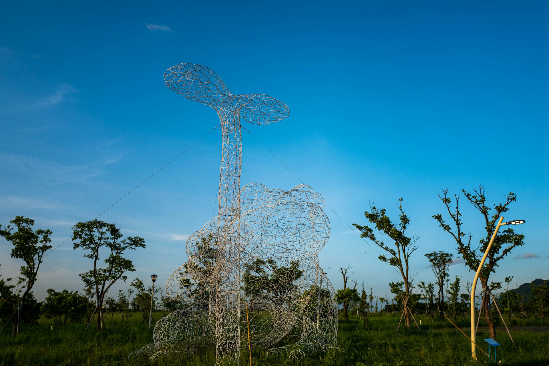 Transforming Landscapes: How Installation Art Immerses Audiences in Nature