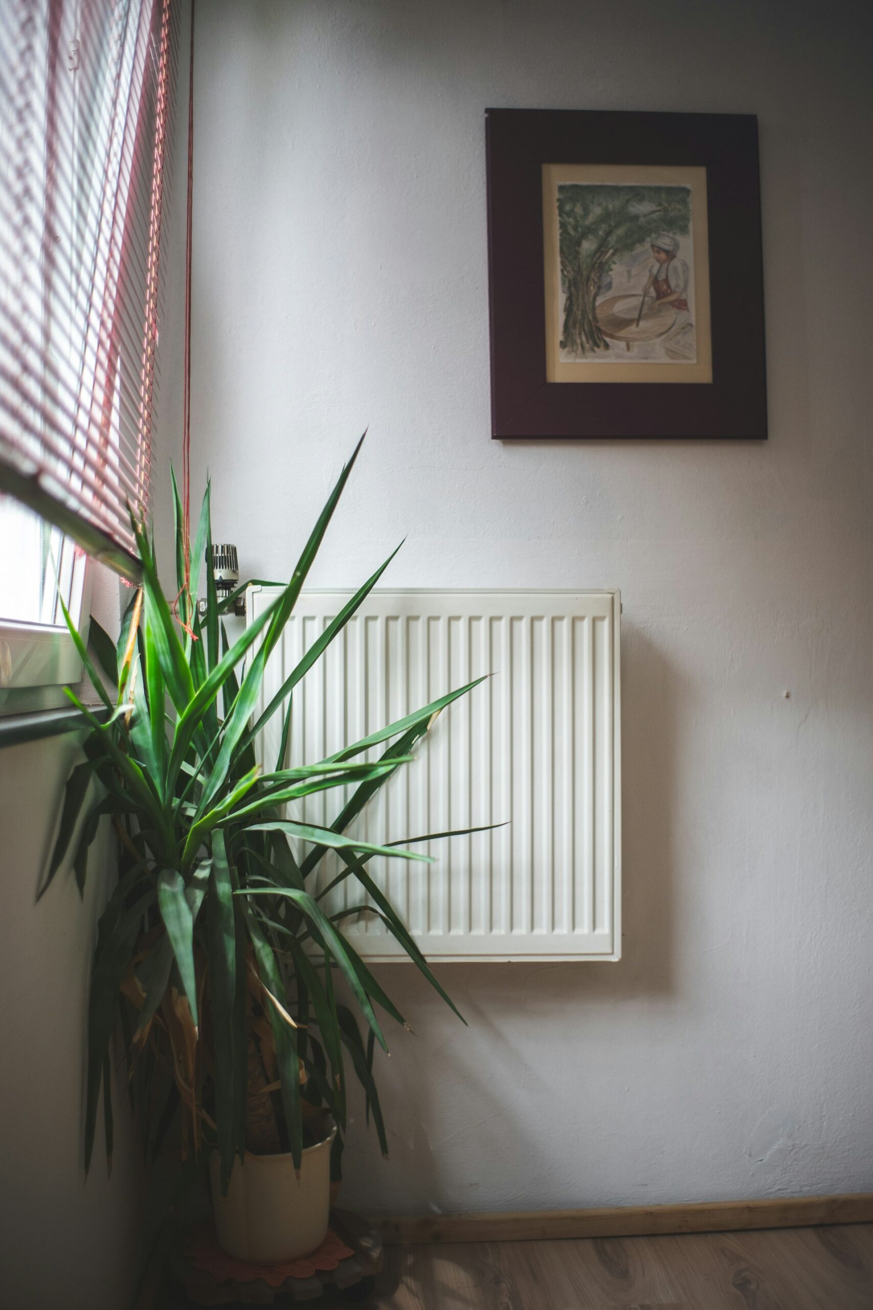 Proven Strategies for a Healthier Home: Improving Indoor Air Quality
