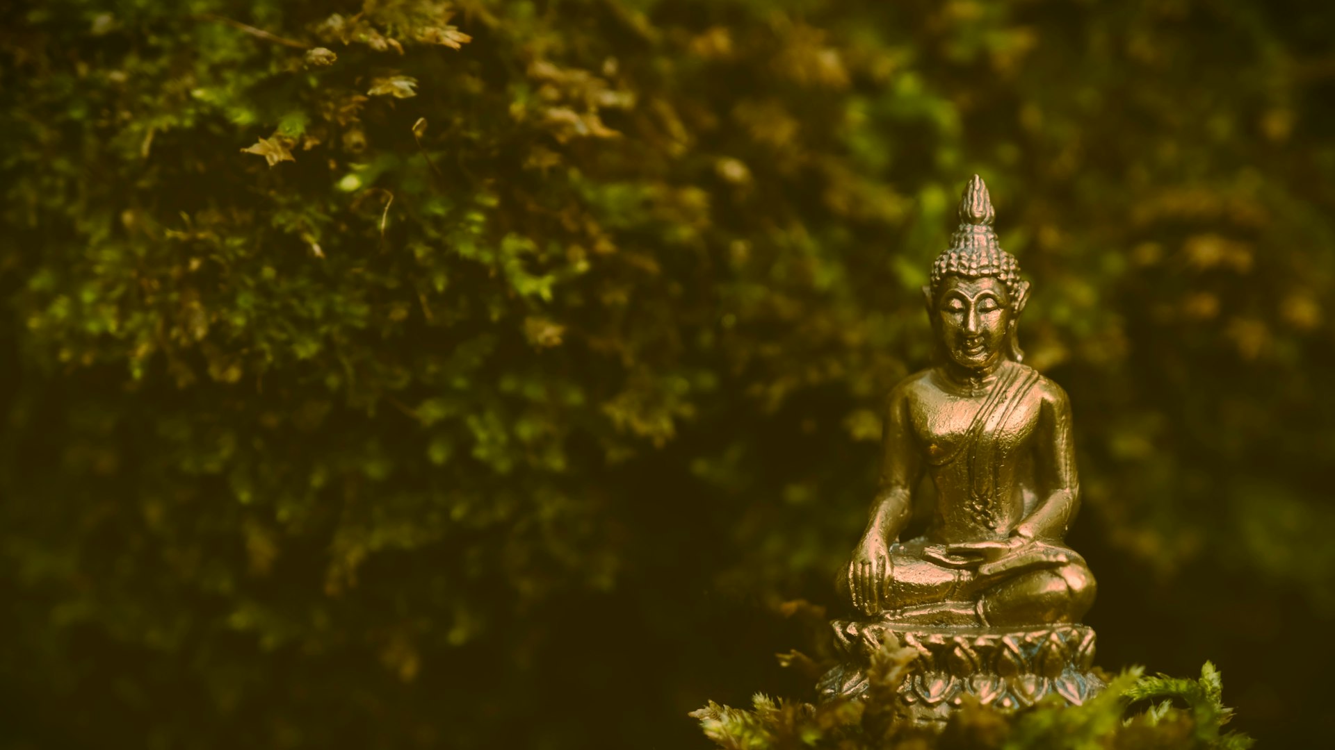 How Spirituality Shapes Overall Health: Evidence, Benefits, and Practical Guidance